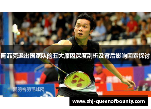 陶菲克退出国家队的五大原因深度剖析及背后影响因素探讨